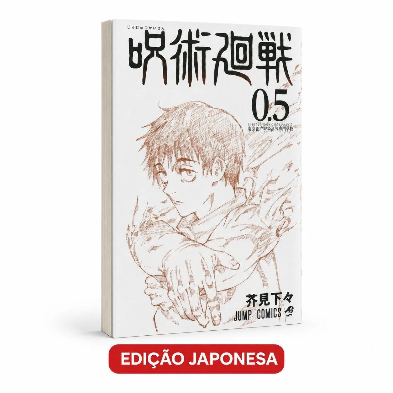 Jujutsu Kaisen Vol. 0.5 Japonês Livreto do Filme JJK 0 Seminovo